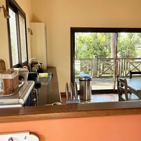 Yamina Lodge Lege-Cap-Ferret Ngoại thất bức ảnh